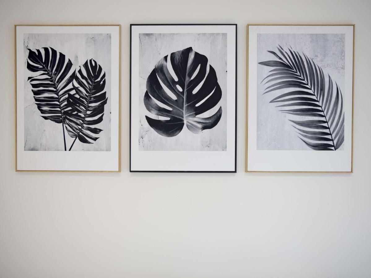 Can Vidal Boutique Rooms インカ エクステリア 写真